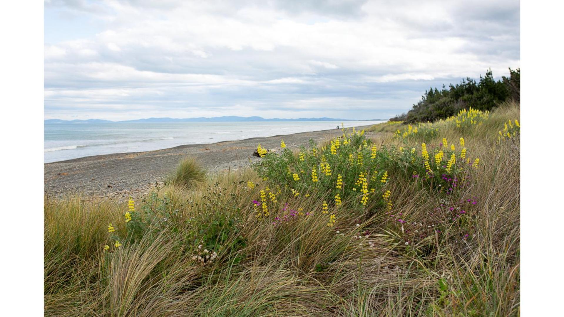 Pacific View By Tiny Away Villa Leithfield ภายนอก รูปภาพ